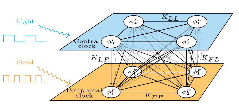 CHA23 AR 00766fig1