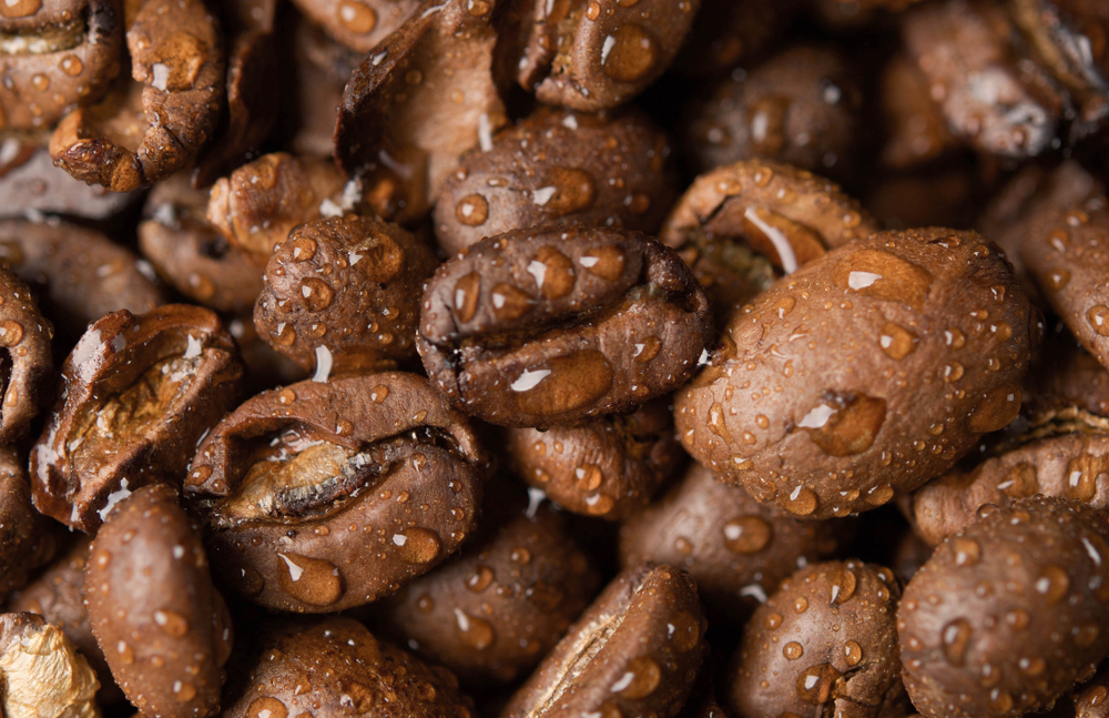 shutterstock1339041734 1