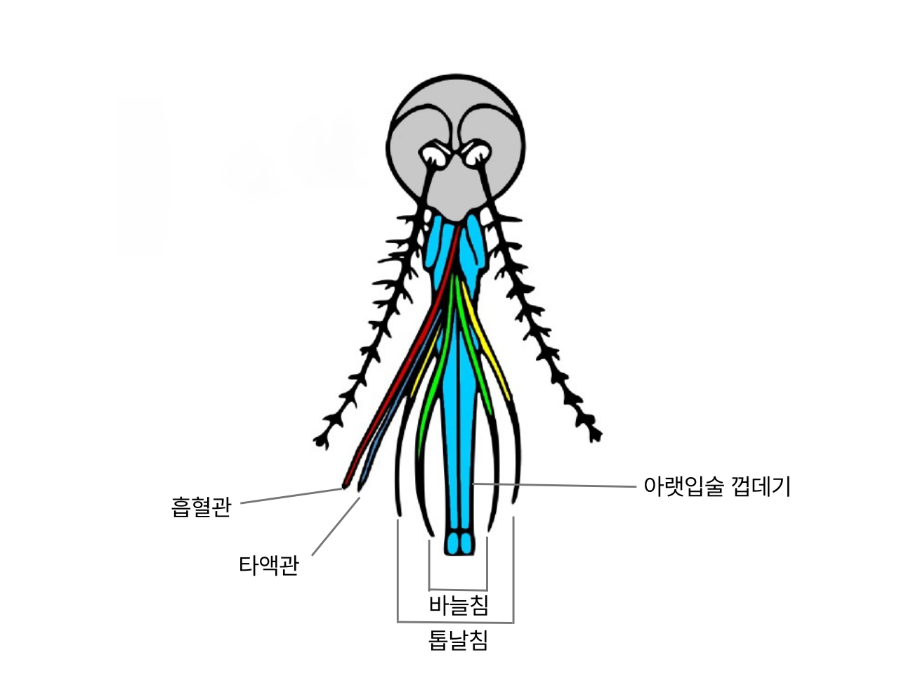 사진2