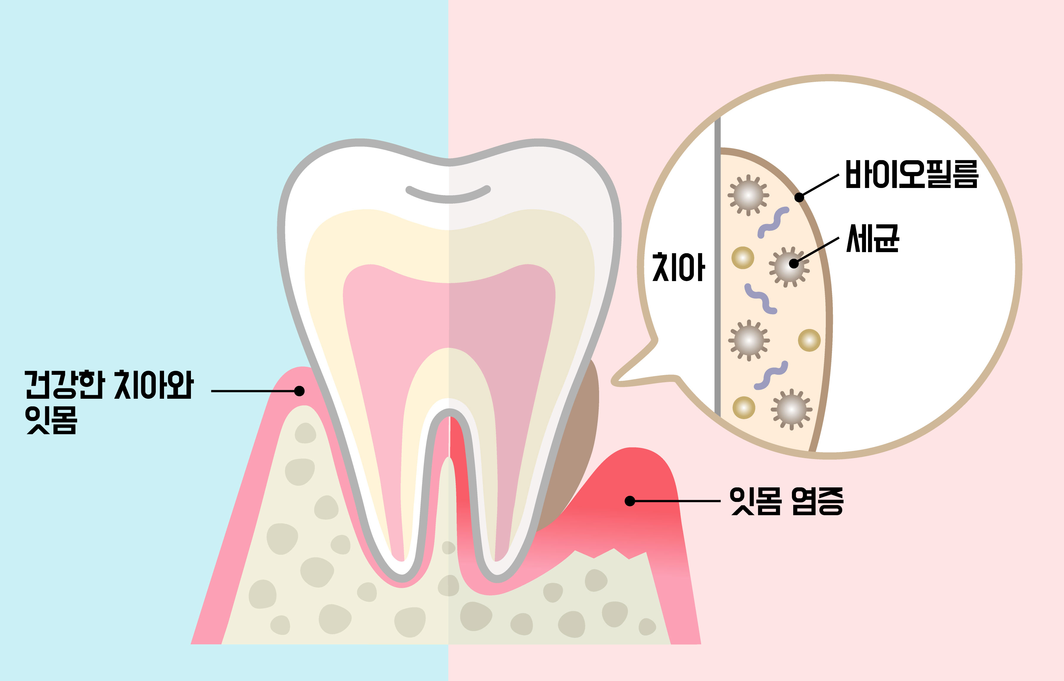 사진3