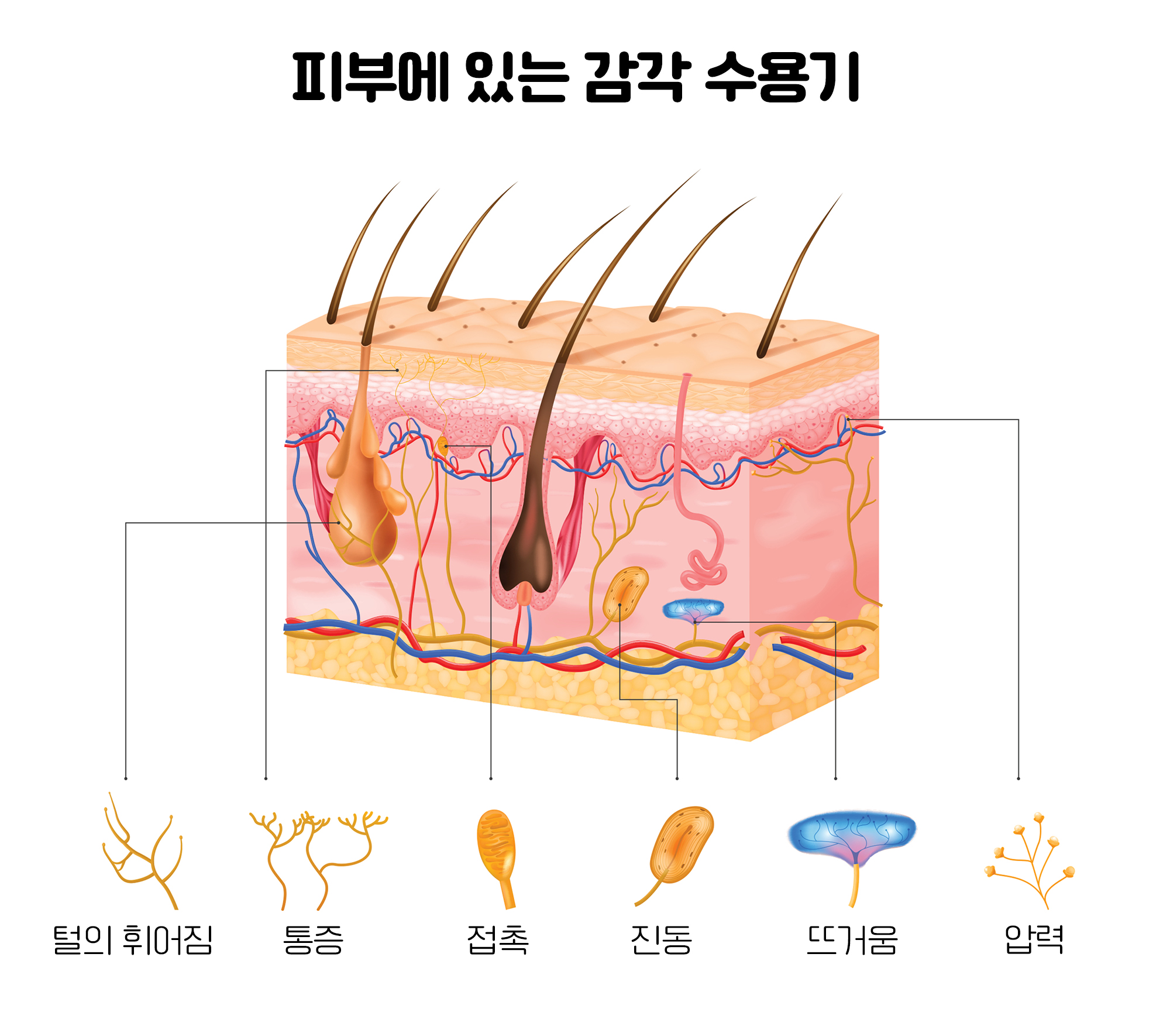 사진2