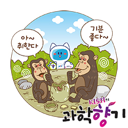 0526 침팬지 250x250