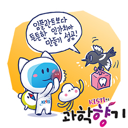 0602 치아 250x250