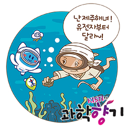 0609 해녀 250x250