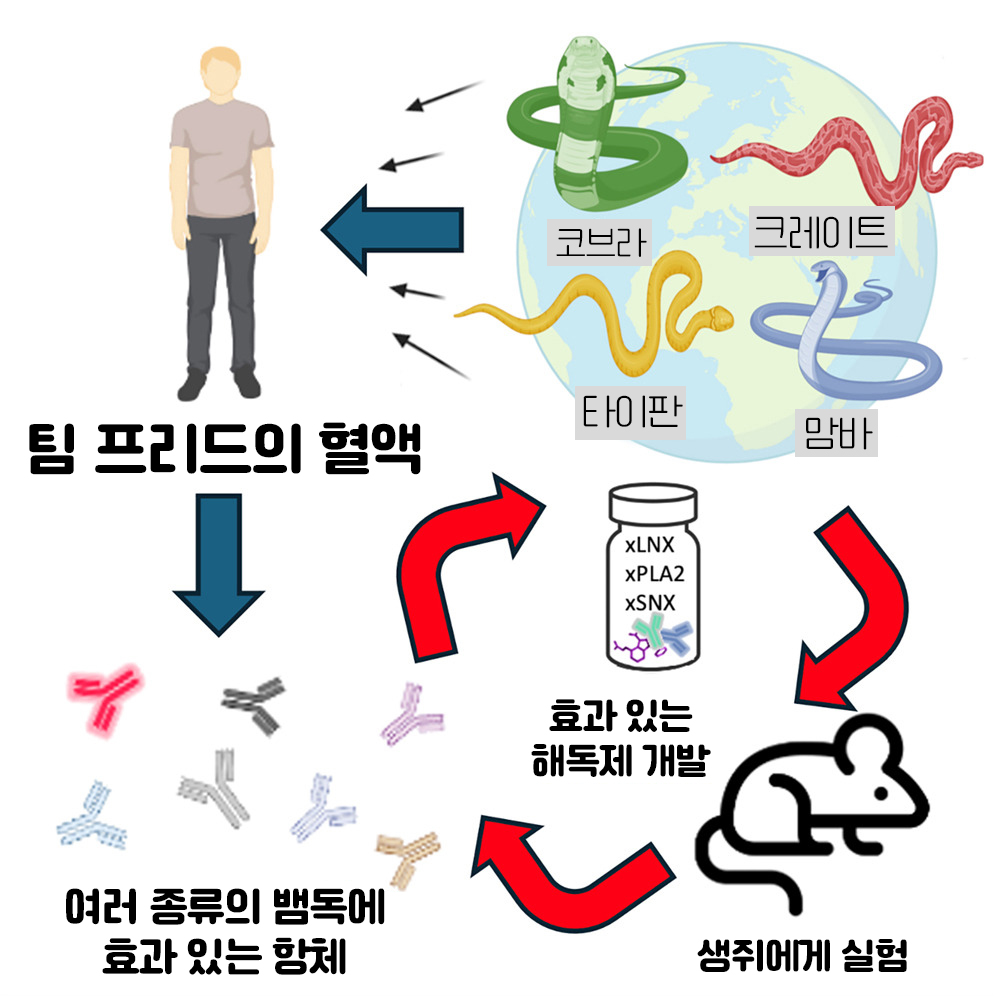사진3