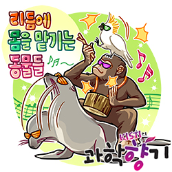 0623 리듬 250x250