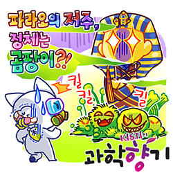 0721 파라오 250x250
