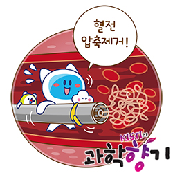 0804 혈전제거 250x250