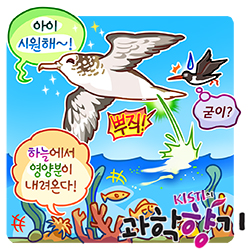 0901 슴새 250x250