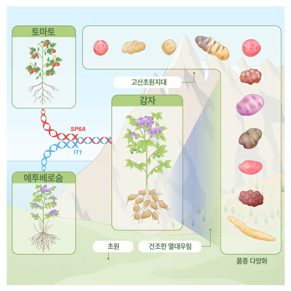 그림 3