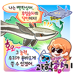 0929 빨판상어 250x250