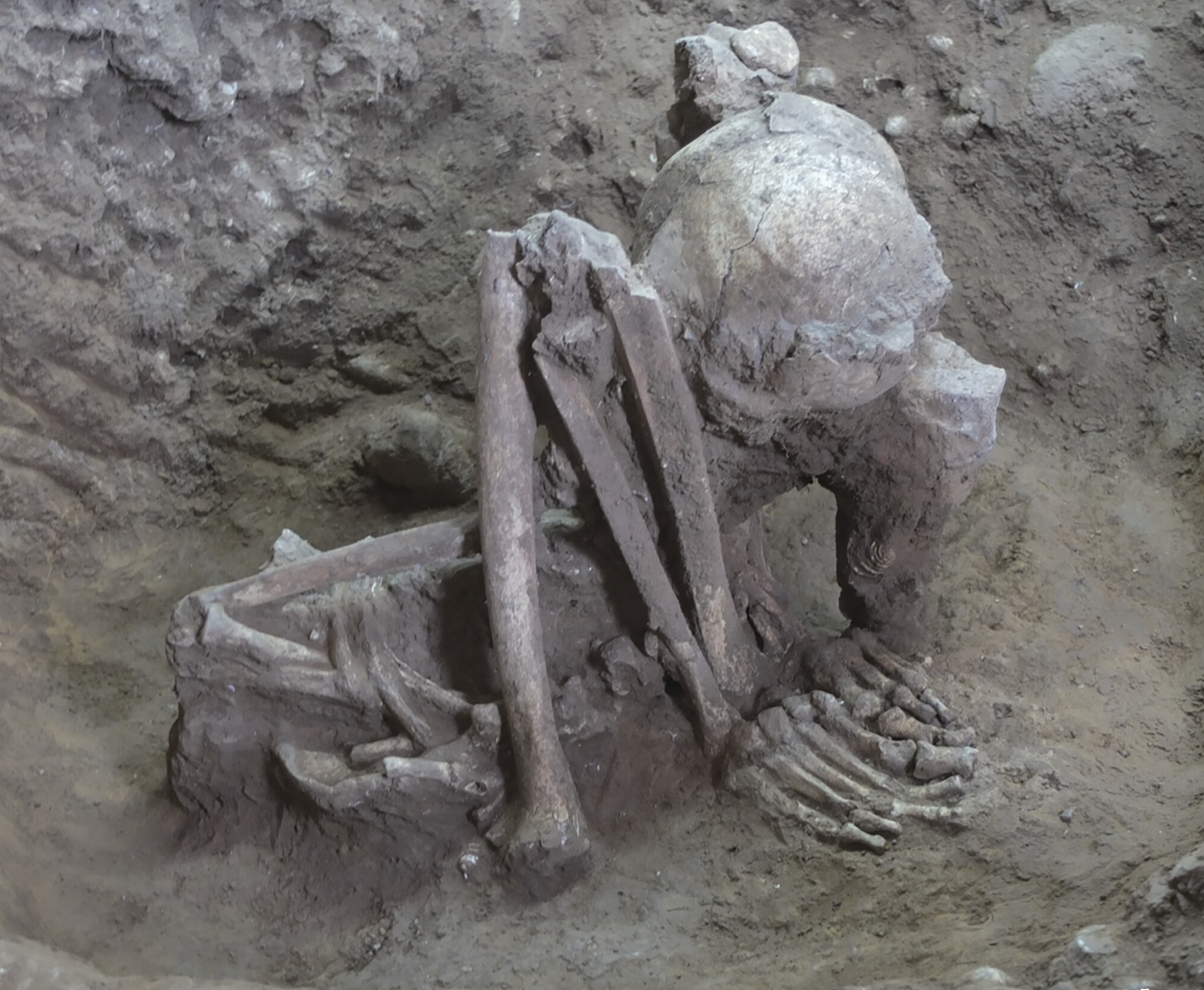 pnas2515103122fig04