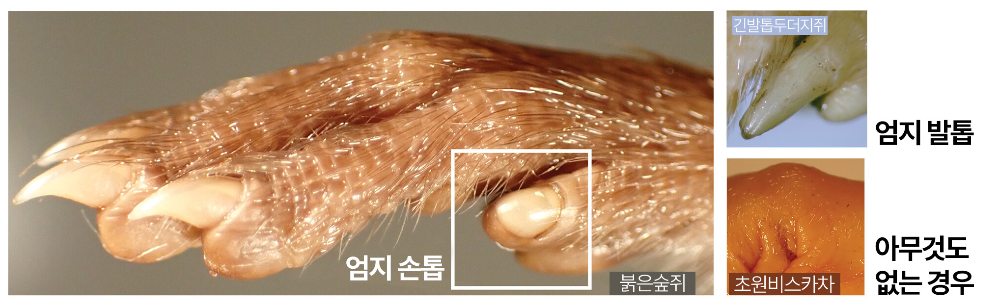 scienceads7926 f122