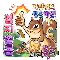 1027 다람쥐 엄지손톱 250x250