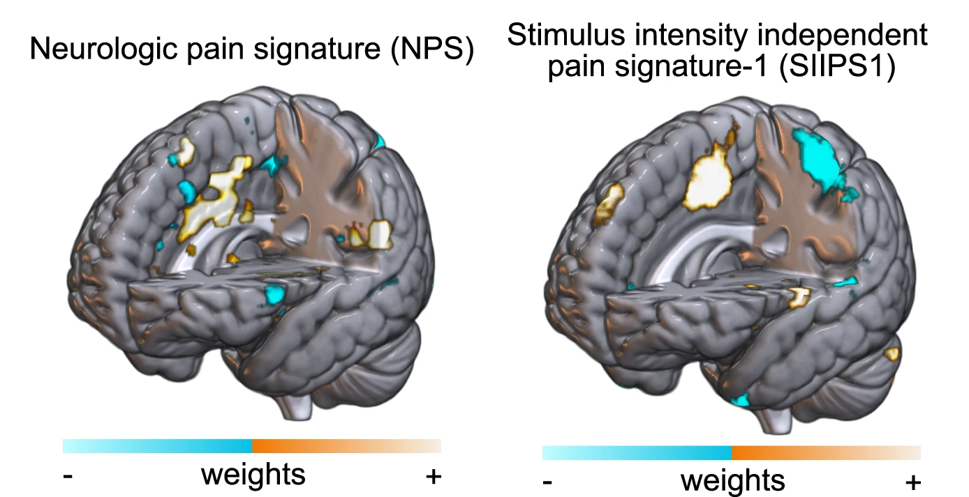 41467202556870Fig2HTML 2