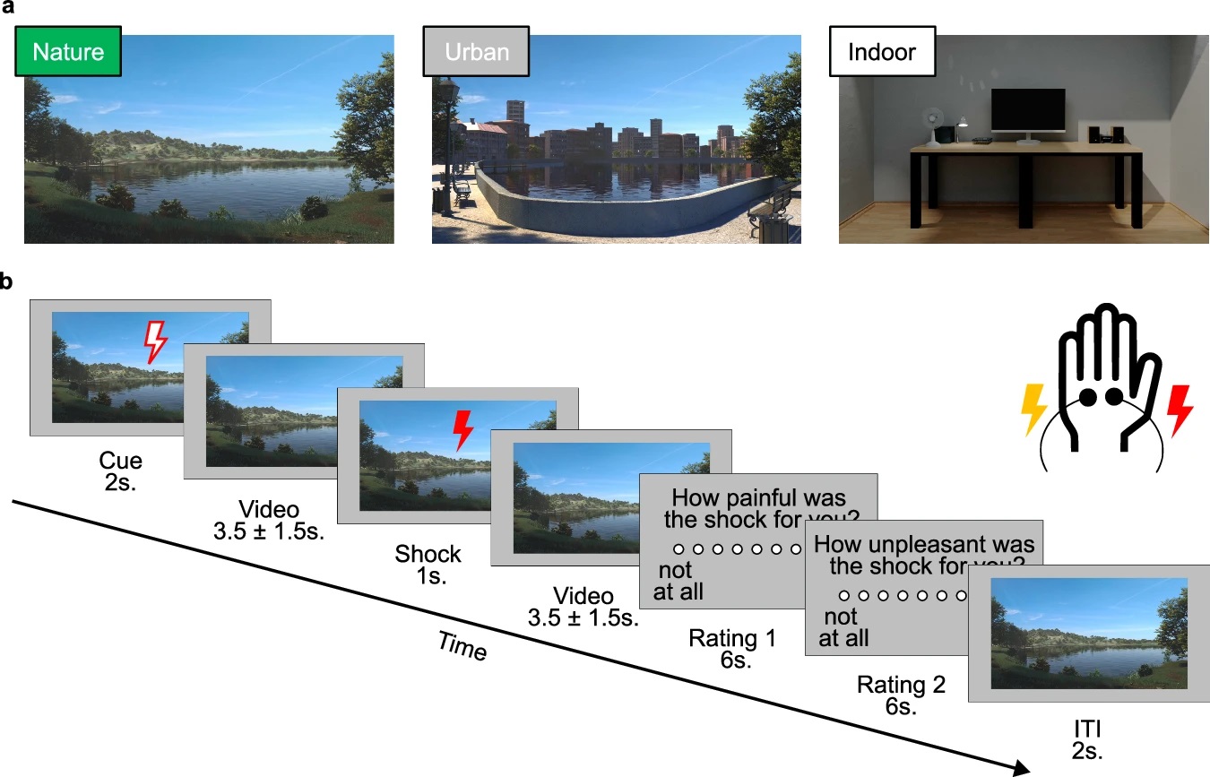 연구진은 자연과 도시 환경에 대한 영상을 보여주며 전기 충격을 주어 뇌 반응을 측정했다 출처 네이처 커뮤니케이션즈