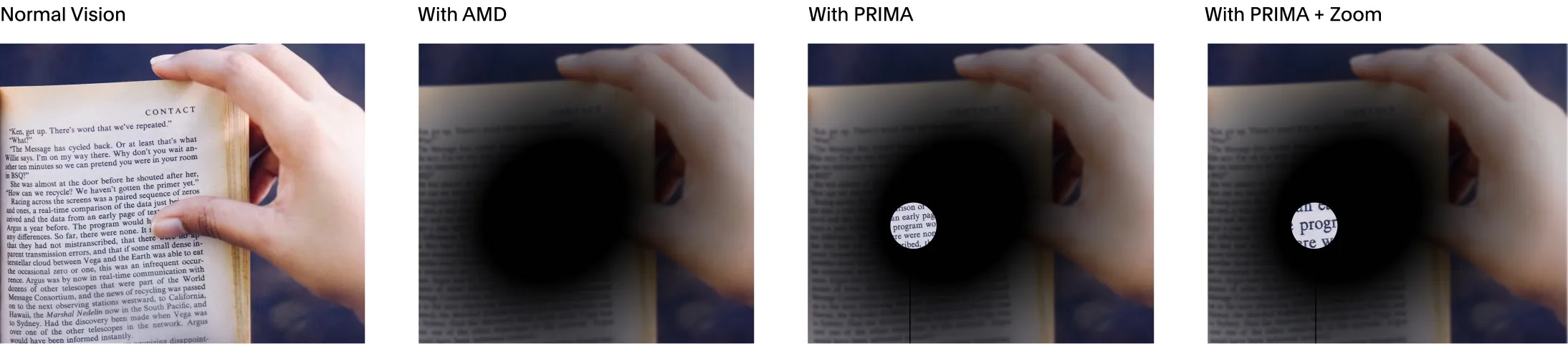 prima zoom graphicYPjyXq5gZ2uYqLe