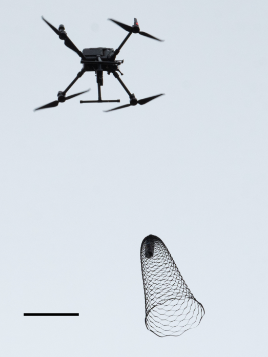 과학향기종이접기이미지3cut