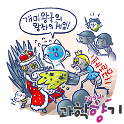 2601개미여왕 250x250