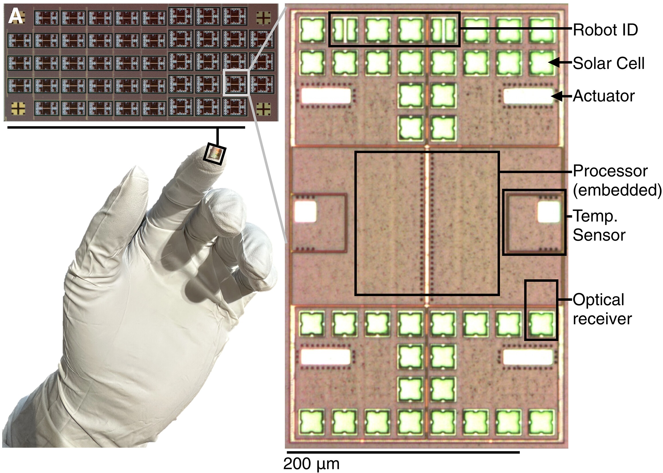 이미지마이크로봇02