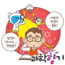 20260216 건망증 250x250