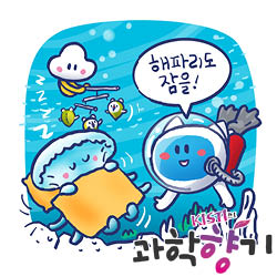 260302해파리 250x250