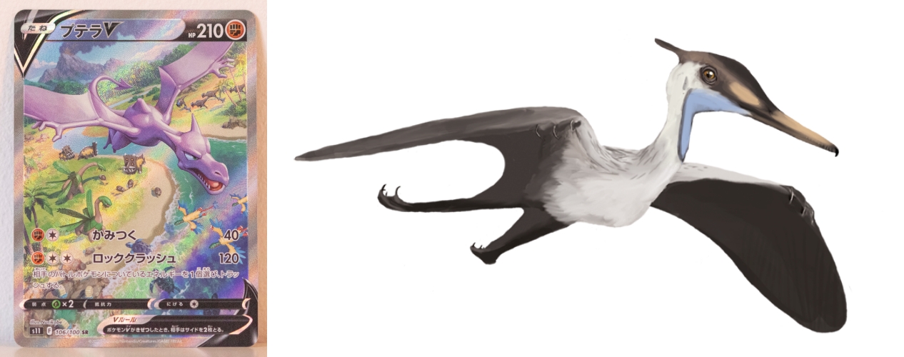 사진 1 ⓒshutterstock VickiSmith side 위키피디아