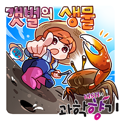 0824 갯벌 250x250