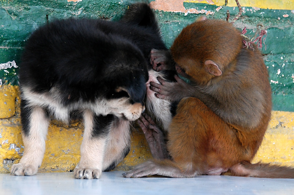 사진 2