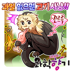 1019 사냥 250x250
