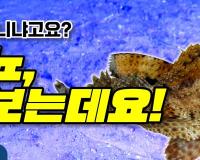 다리로 걸어 다니냐고요? 아뇨, 맛보는데요!