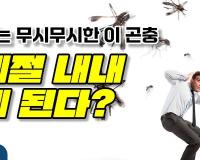 피를 빠는 무시무시한 이 곤충, 사계절 내내 보게 된다?