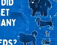 개의 종류는 왜 이렇게 다양할까요?