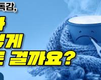 감기랑 독감, 뭐가 이렇게 다른 걸까요?