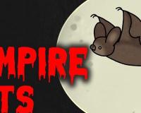 흡혈박쥐는 위험한 동물일까요?