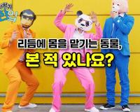 리듬에 몸을 맡기는 동물, 본 적 있나요?