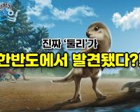 진짜 '둘리'가 한반도에서 발견됐다?!