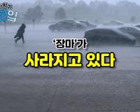 '장마'가 사라지고 있다