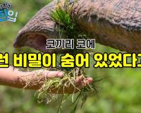 코끼리 코에 이런 비밀이 숨겨져 있다고?