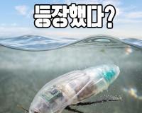잠수까지 하는 바퀴벌레가 등장했다?