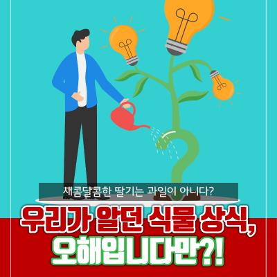 새콤달콤한 딸기는 과일이 아니다? 우리가 알던 식물 상식, 오해입니다만?!