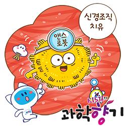 [과학향기 Story] 사람 세포로 만든 생체로봇 등장, 난치병 치료 새 길 열까