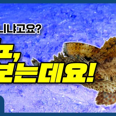 2025.05.05 제2025-018호