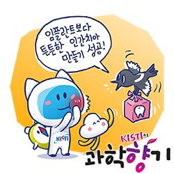 [과학향기 Story] 임플란트 대신 실험실에서 키운 '내 치아' 끼운다
