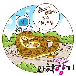 [과학향기 Story] 뱀이 뼈를 먹어도 괜찮은 이유, 장 속 이 세포 덕분?