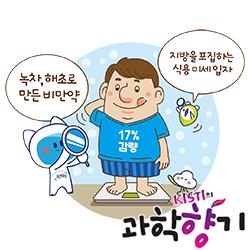 [과학향기 Story] 다이어트 고민, 부작용 싹 없앤 ‘녹차 비만약’으로 해결?