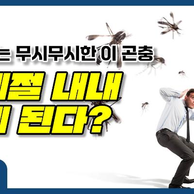 2025.11.03 제2025-044호