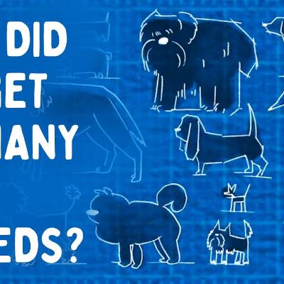 2025.12.15 제2025-052호