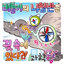 [과학향기 for kids] 비둘기는 어떻게 길을 찾을까? 비밀은 귀 속에!