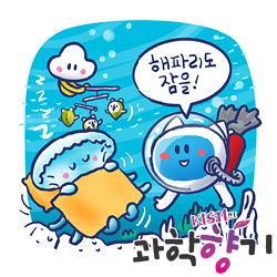 [과학향기 Story] 뇌 없는 해파리도 잠을 잔다?